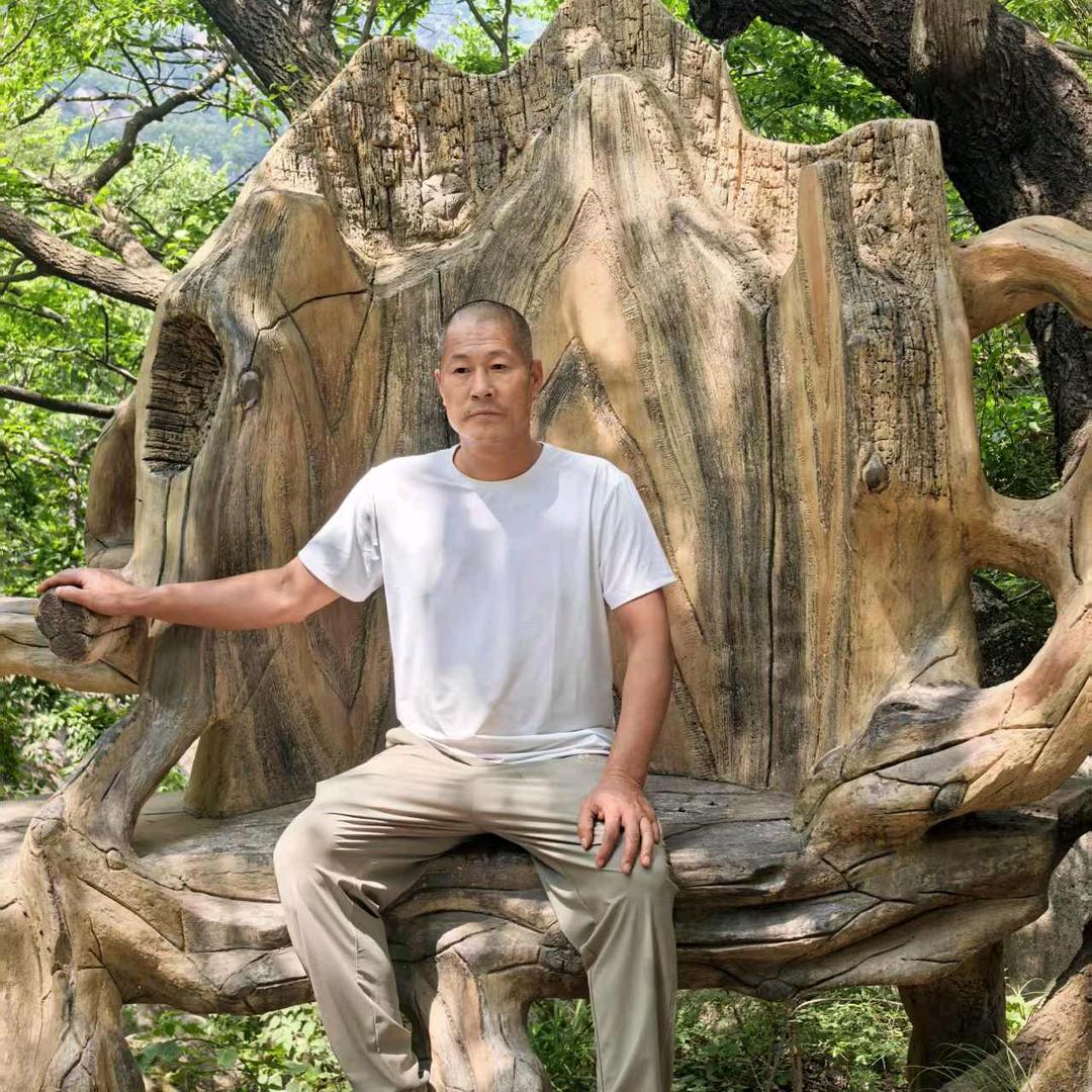 皮皮哥