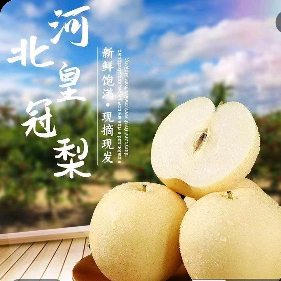 松鼠优选
