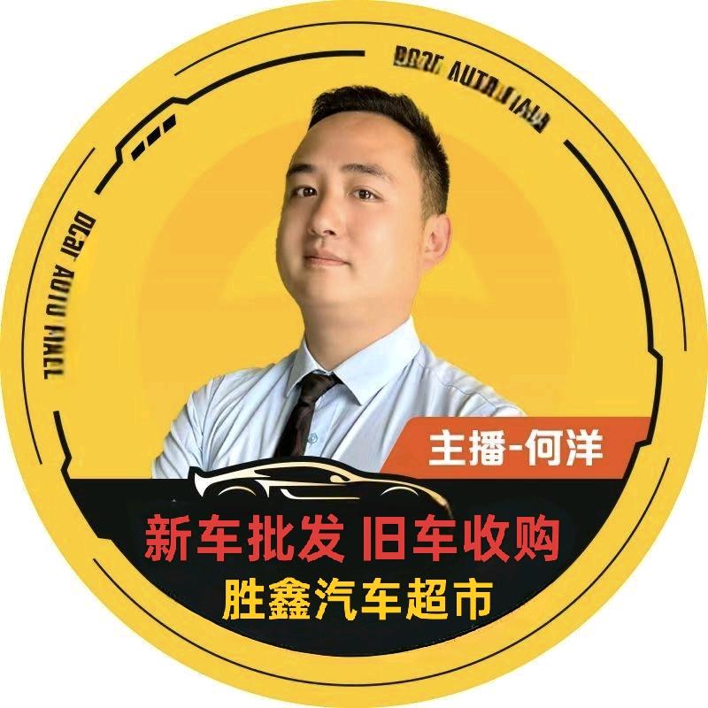 新车批发达州胜鑫店—何洋