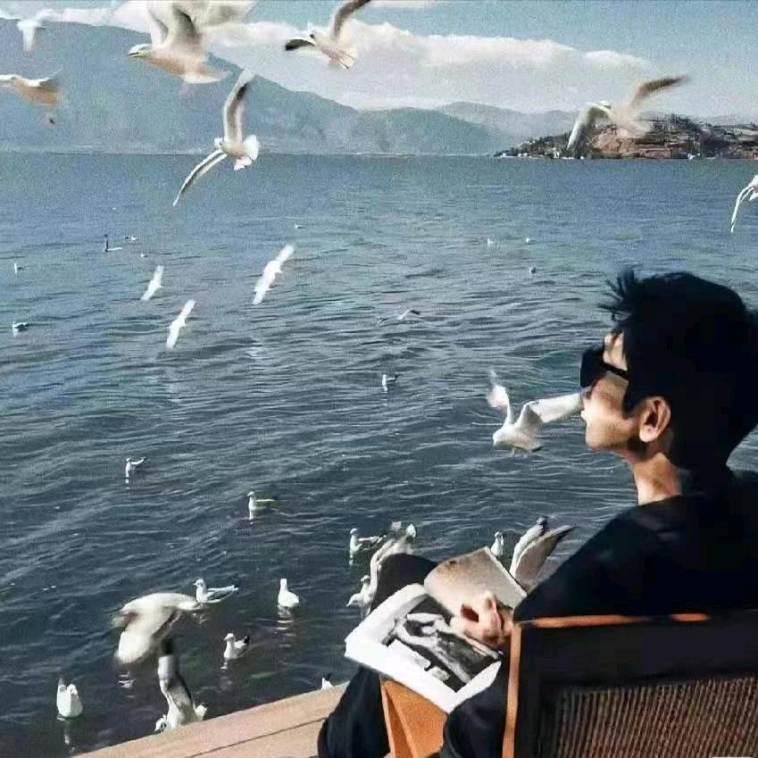 小张（奋斗版）