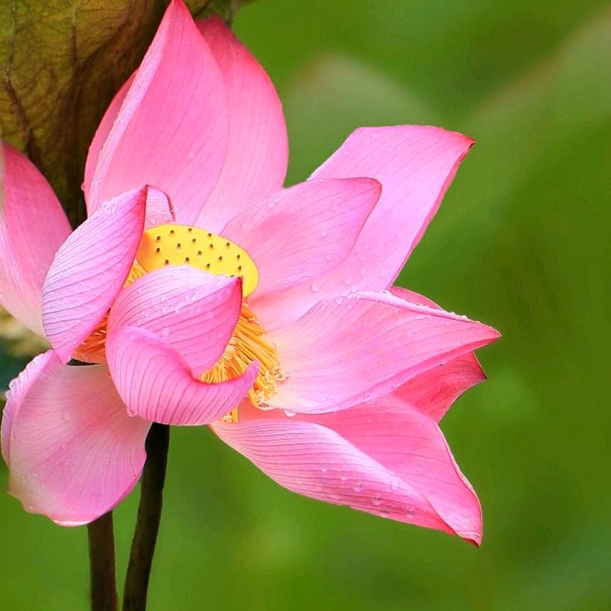 武当山文创客服