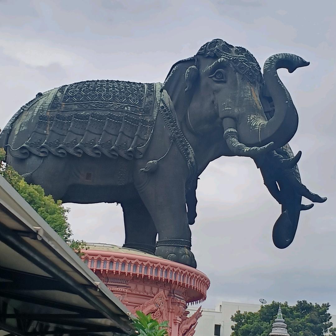 徐习兵