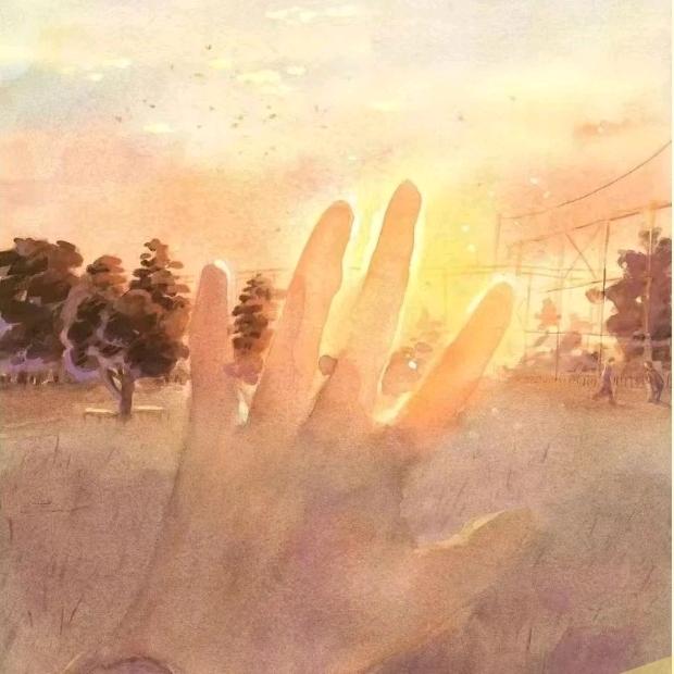 草头萍