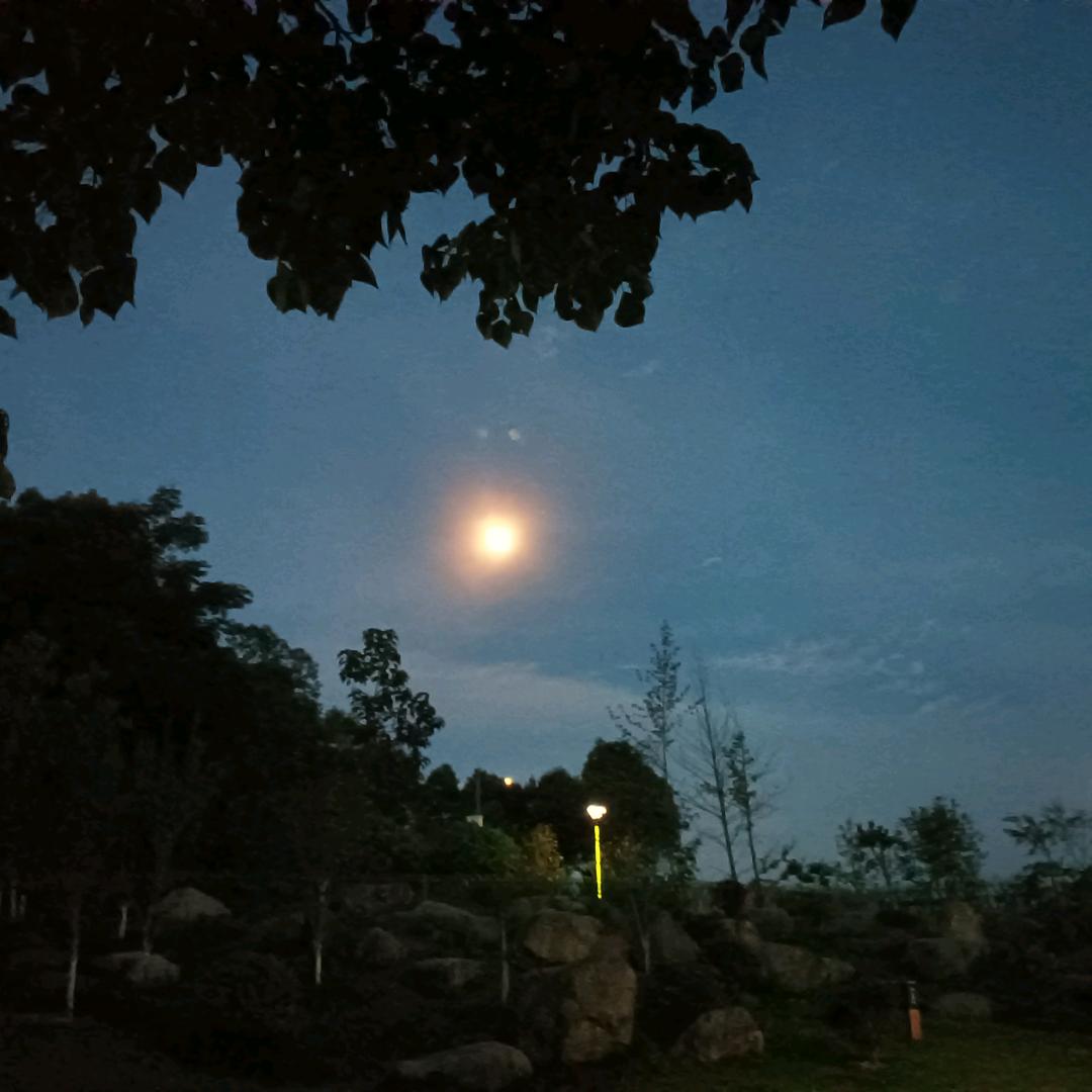 取消关注