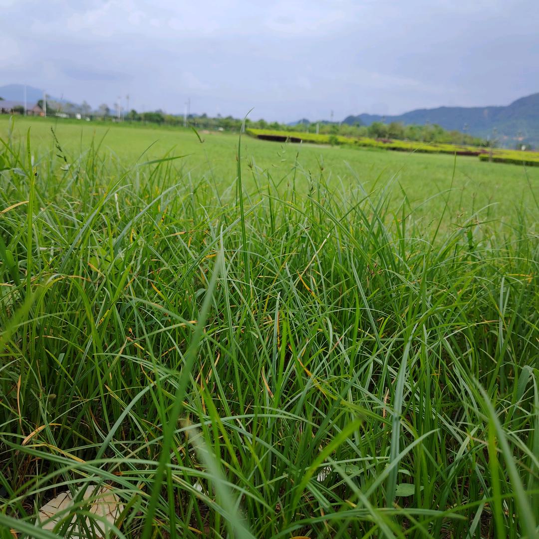 用户6149843529033 一叶知秋