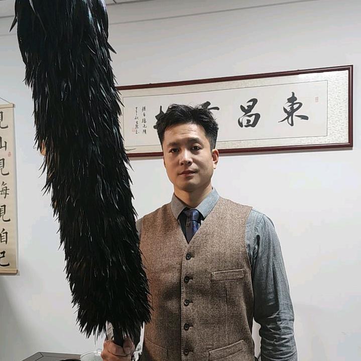 凤翎隋记东昌贡掸