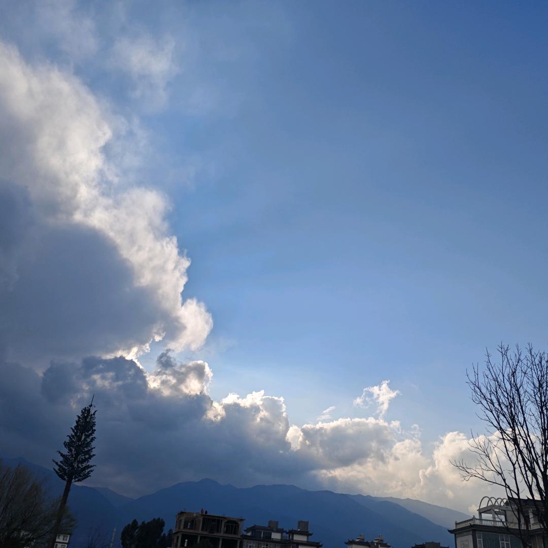 可乐芒果加班（三角洲行动）