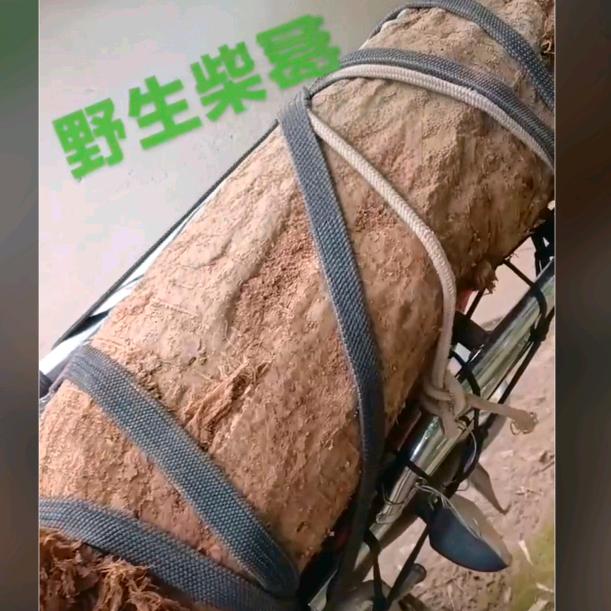 笑熬浆糊