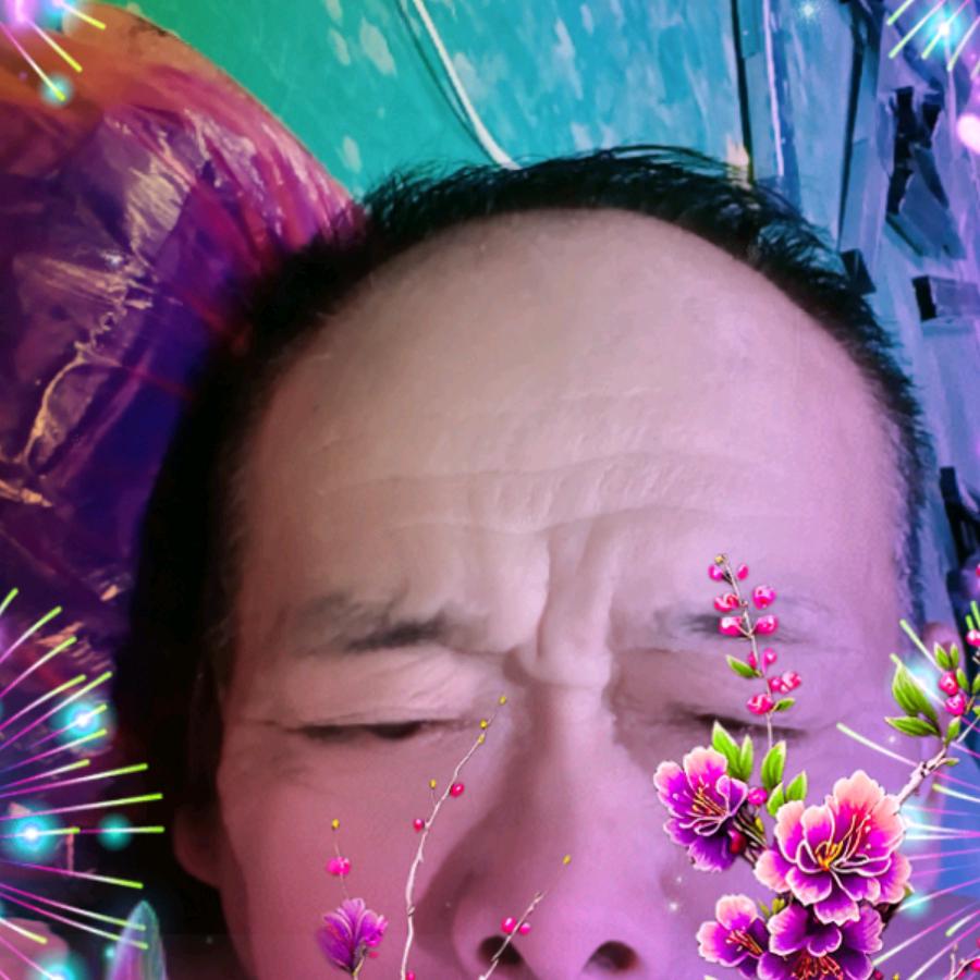 刘锦龙