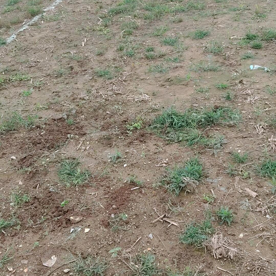 我在想你
