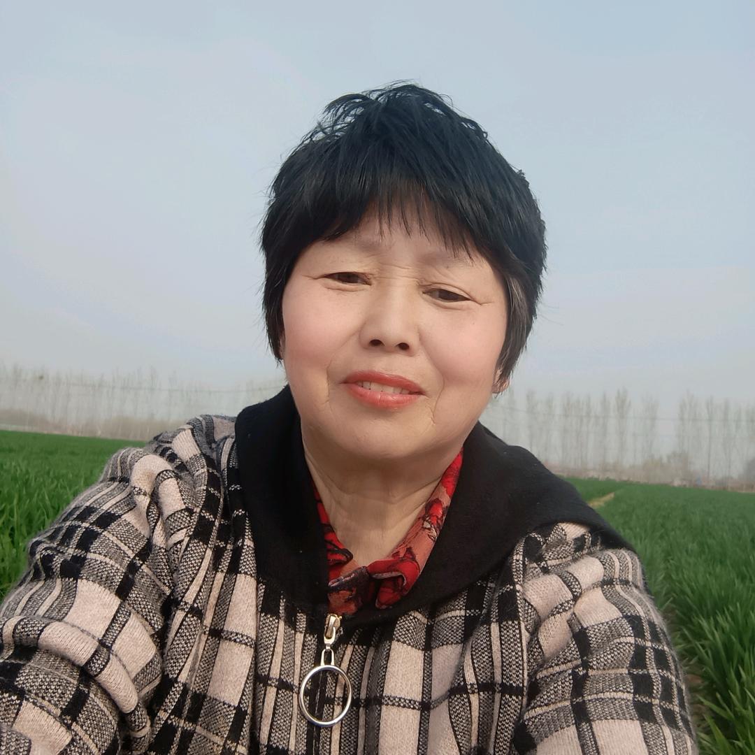 刘云姐（首播筹备中）