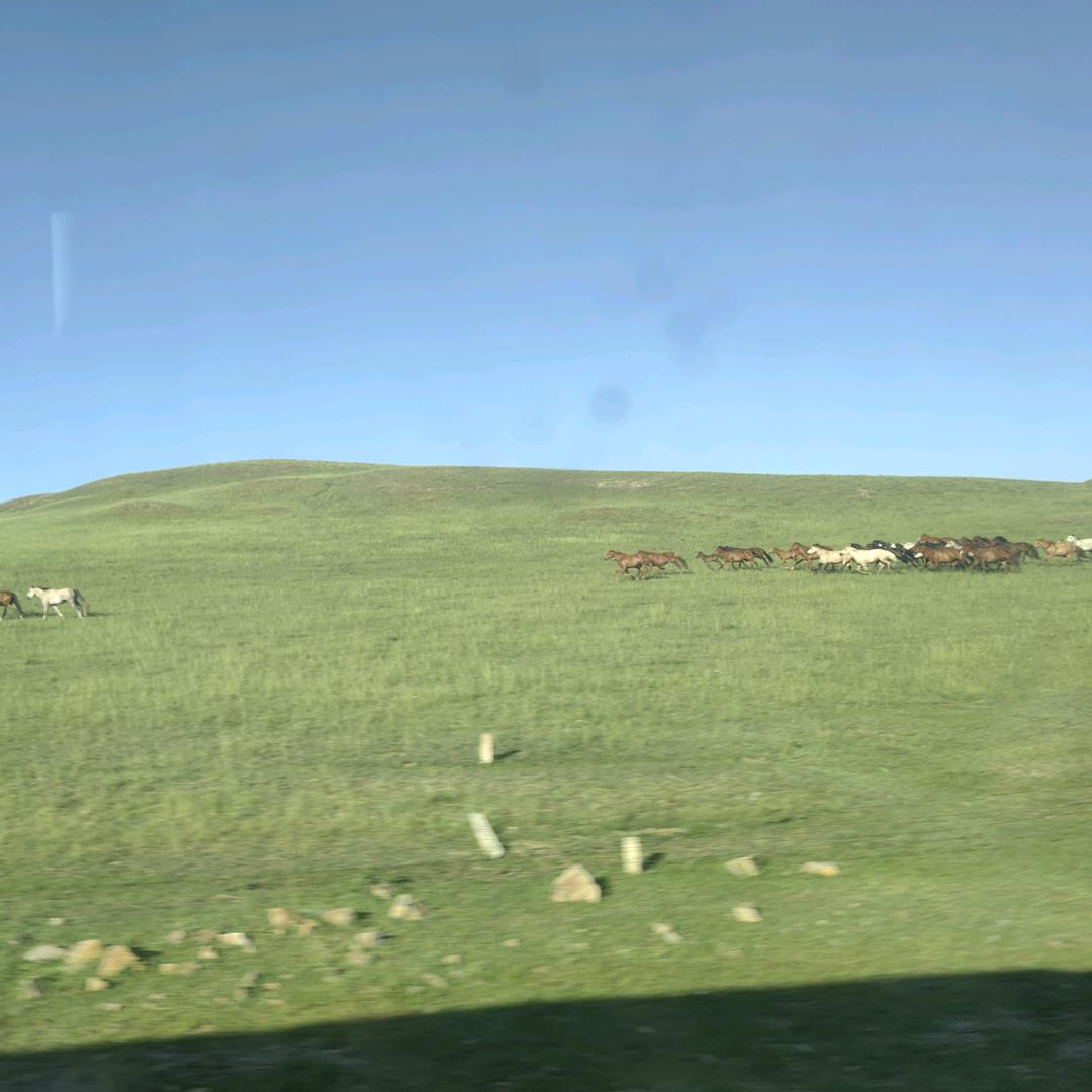 一人一车一世界