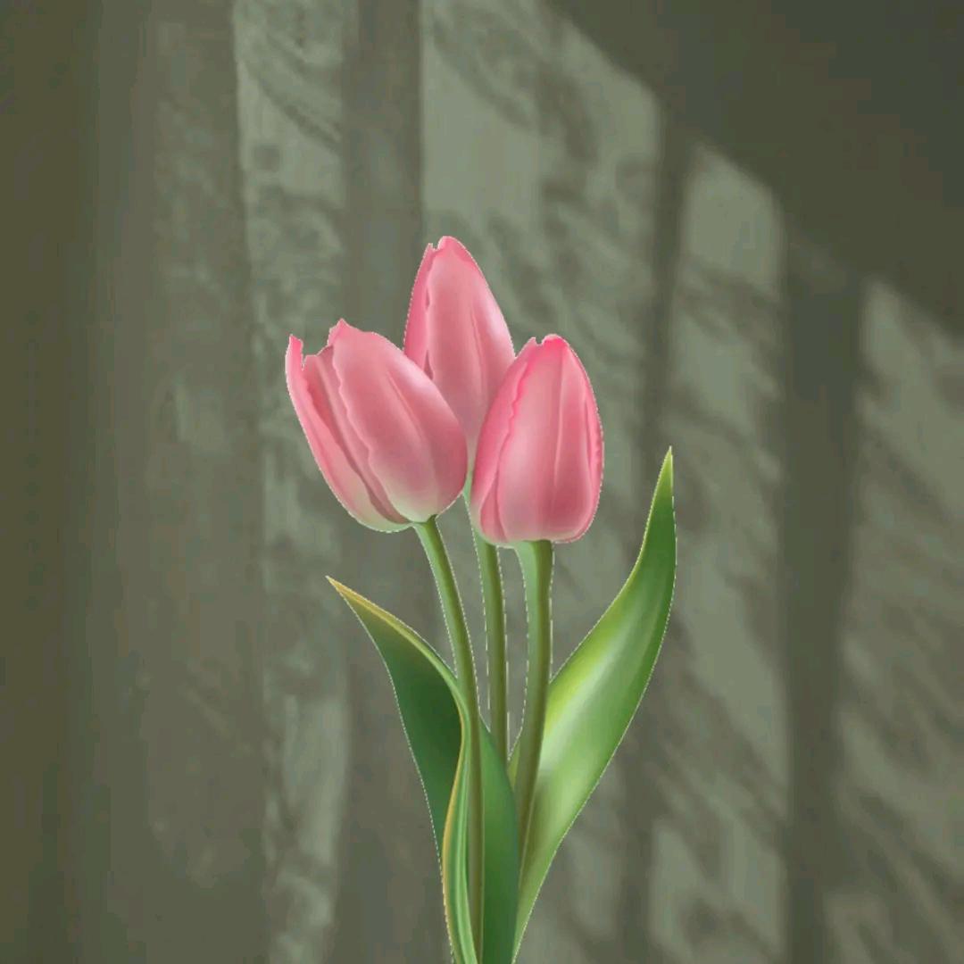 大南瓜