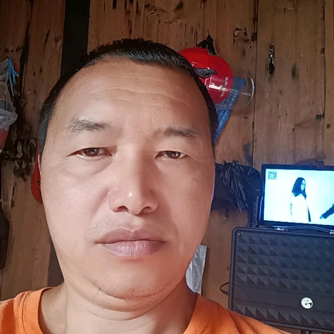 一片绿叶