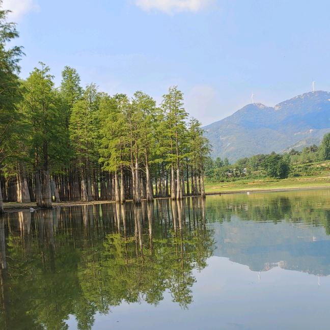 豫南拍客～老李随手拍