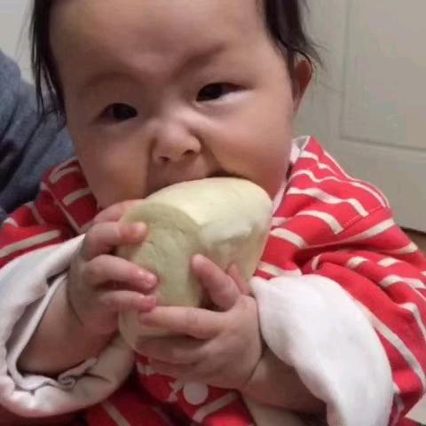 傻子遇到骗子