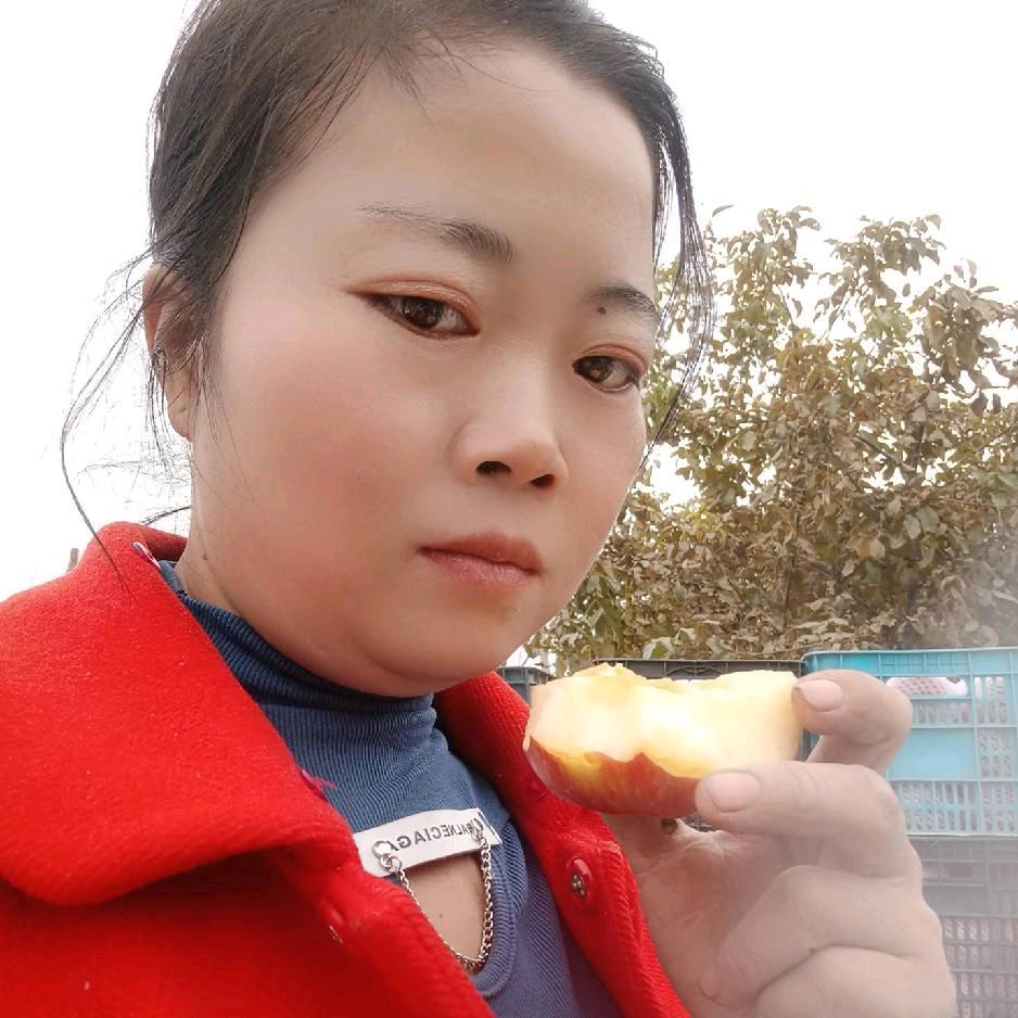 新疆果味多小肖