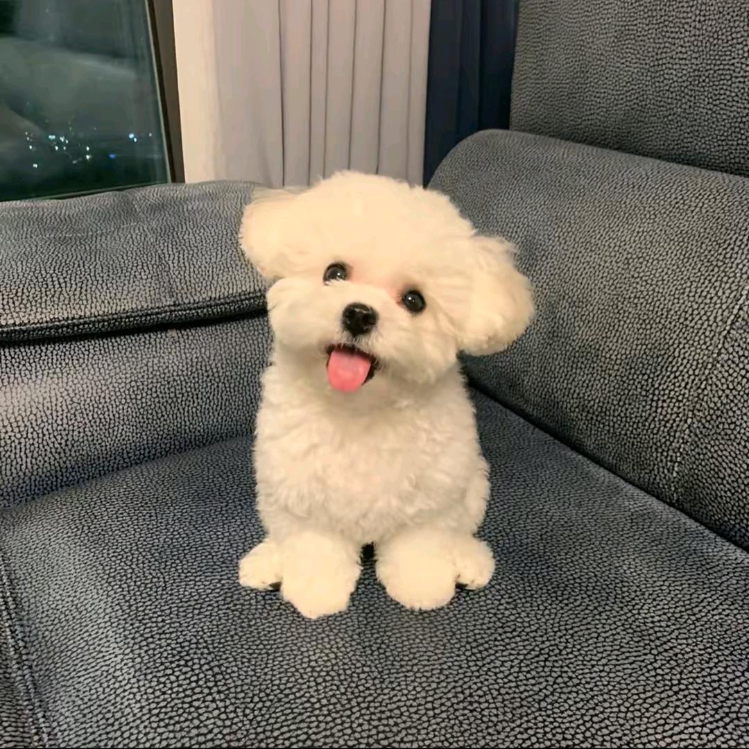Pikunikku.