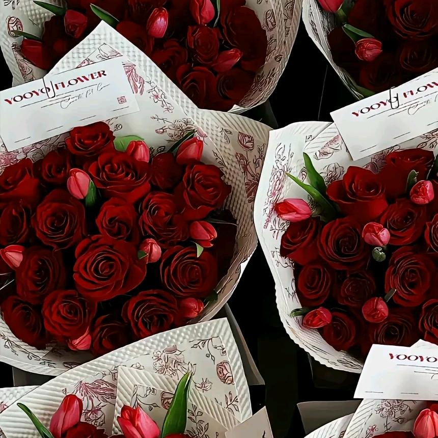 最美↺↷不过初见