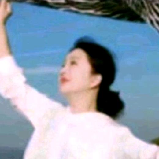 农村你爱丽（接合作）