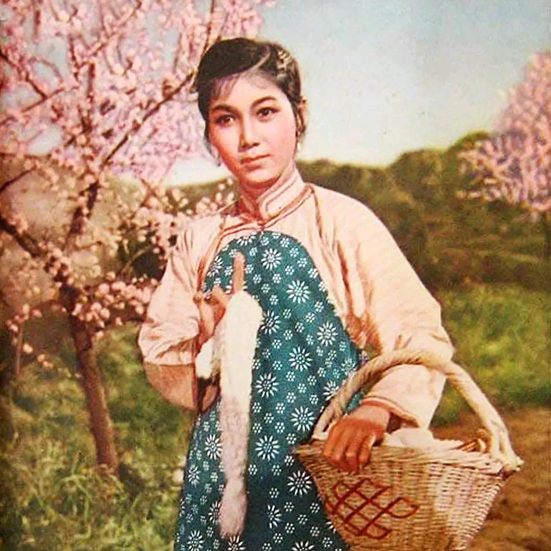 评剧戏迷李井永