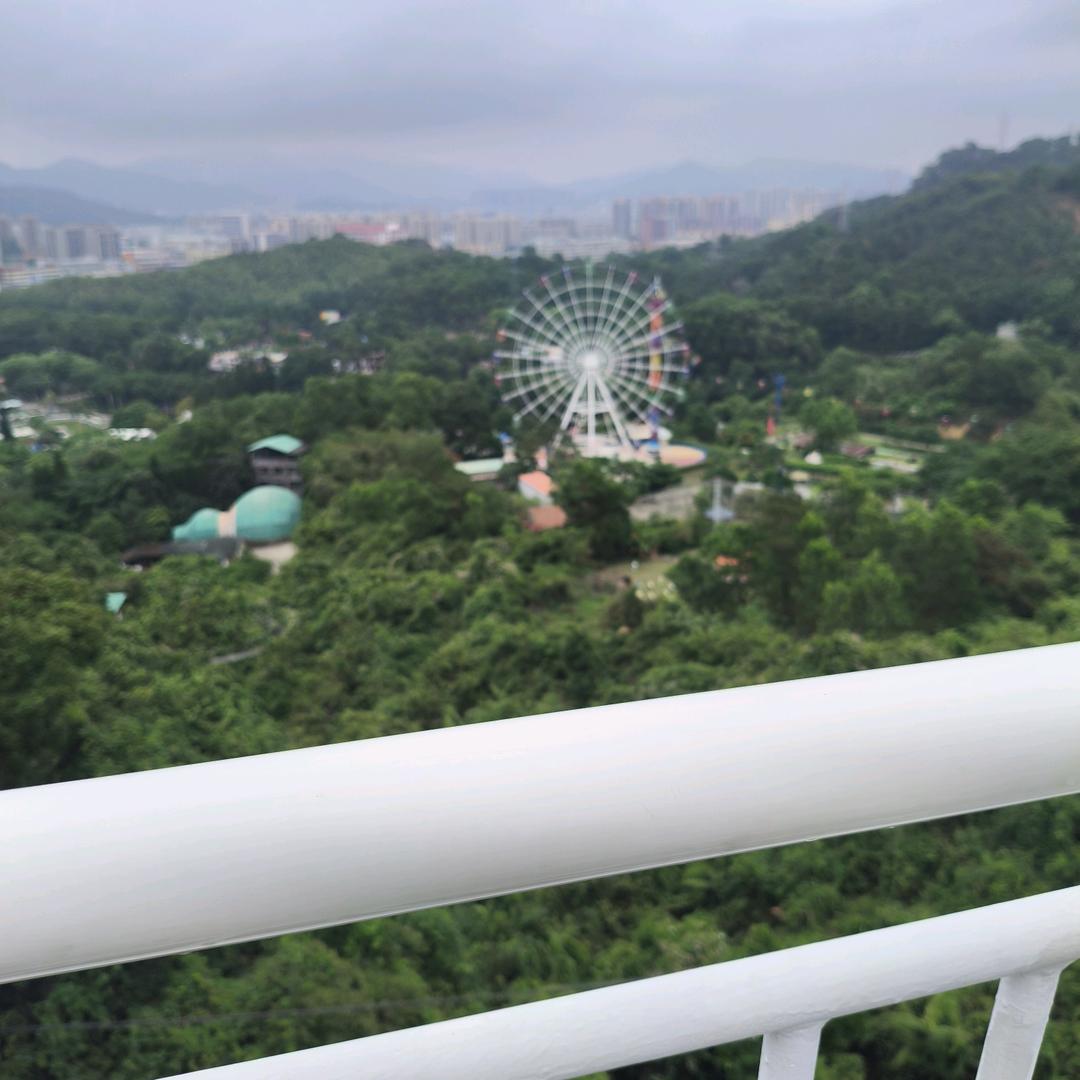 天若有情天亦老