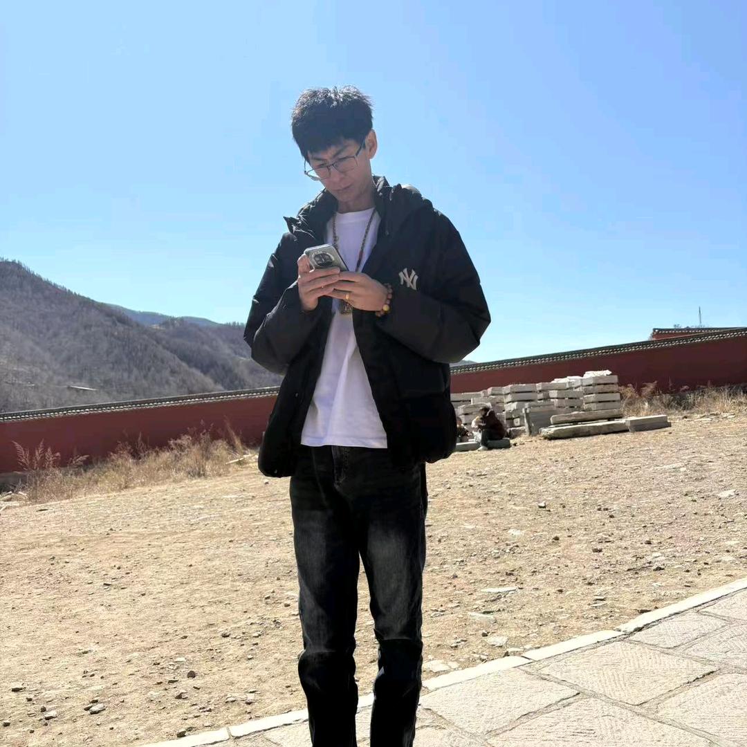 Vip---阿伟
