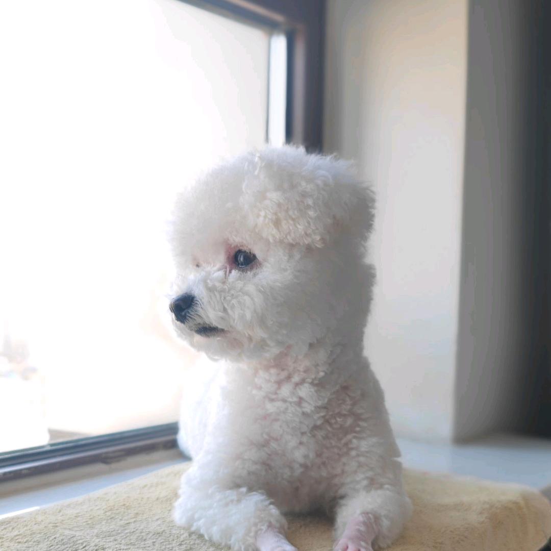 板凳