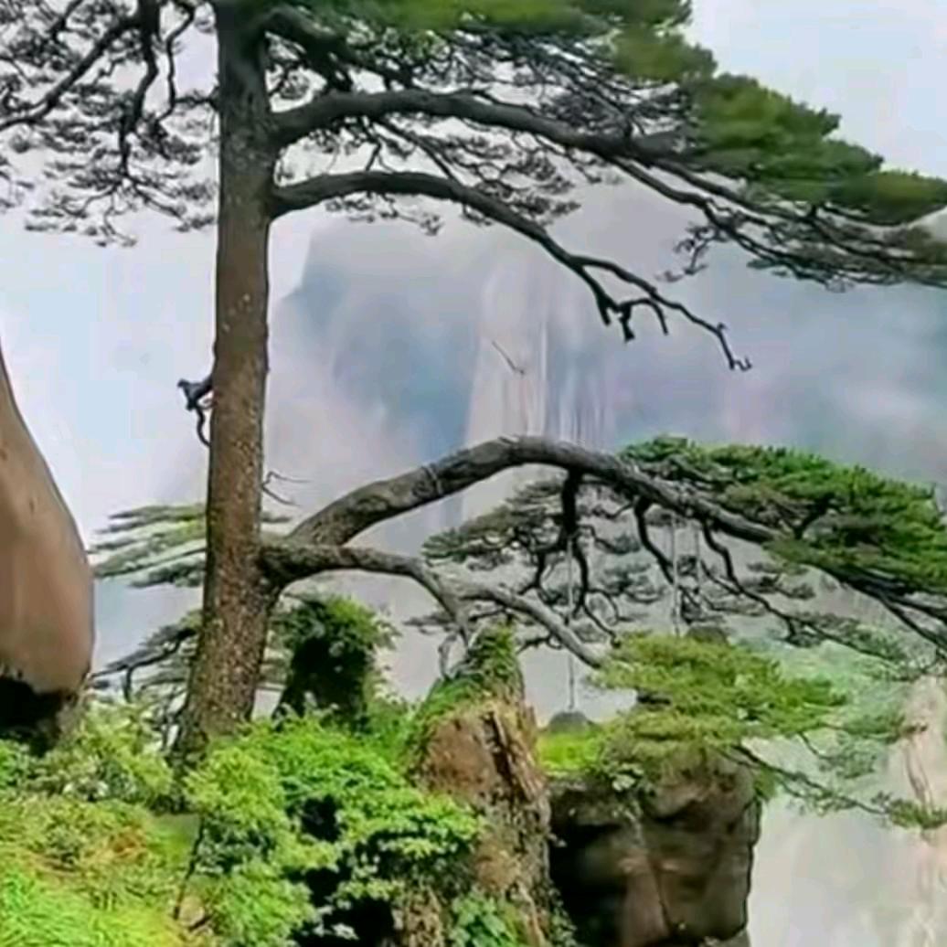 一帆風順
