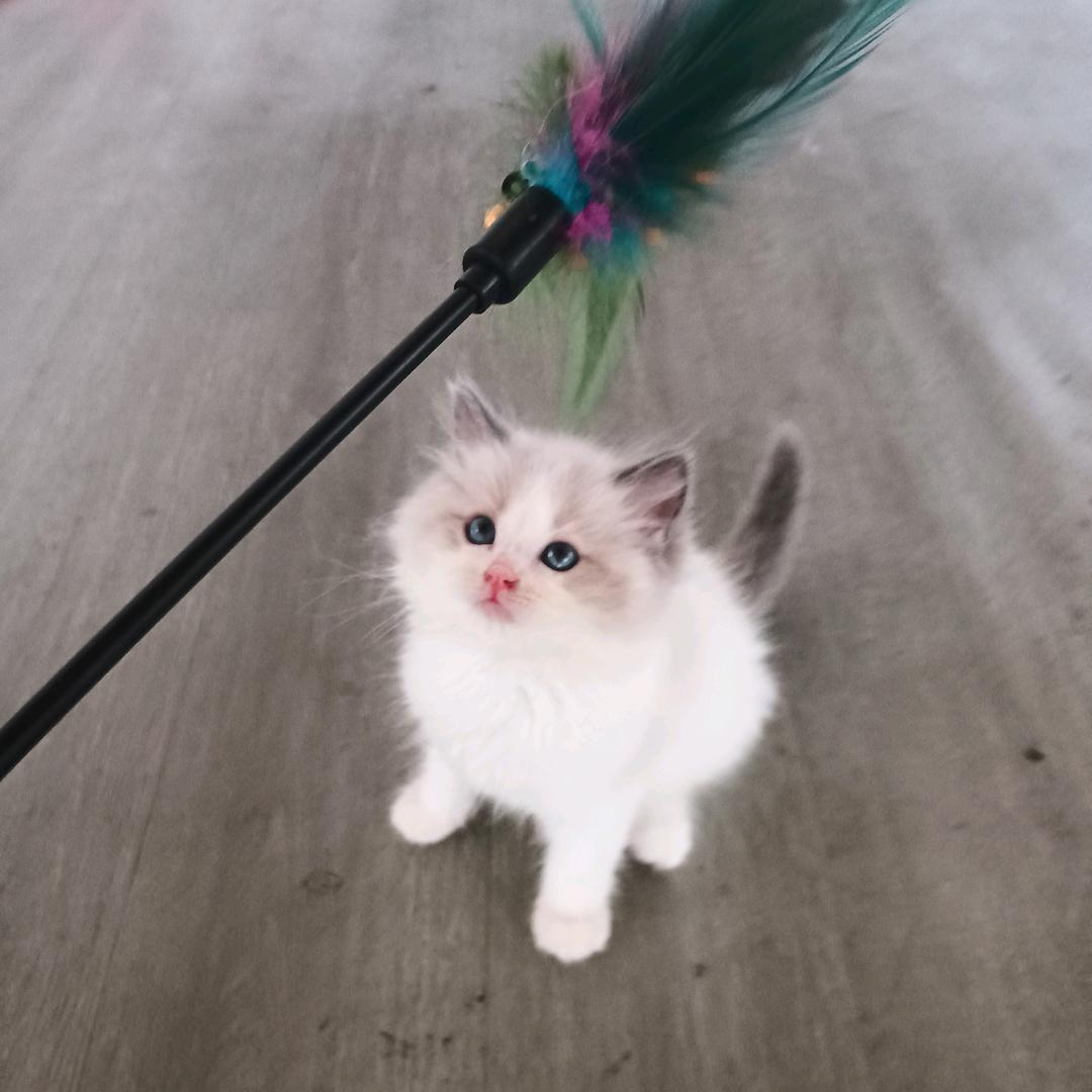 我🌹是🌷冬🌹天🌷的🥀白🌹玫瑰