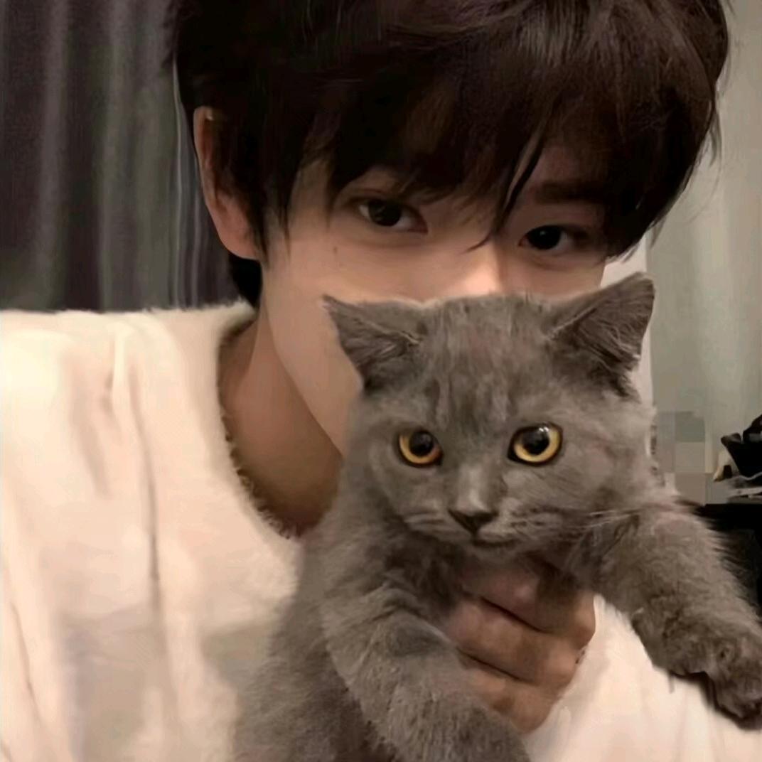 名为“臧”的经神病