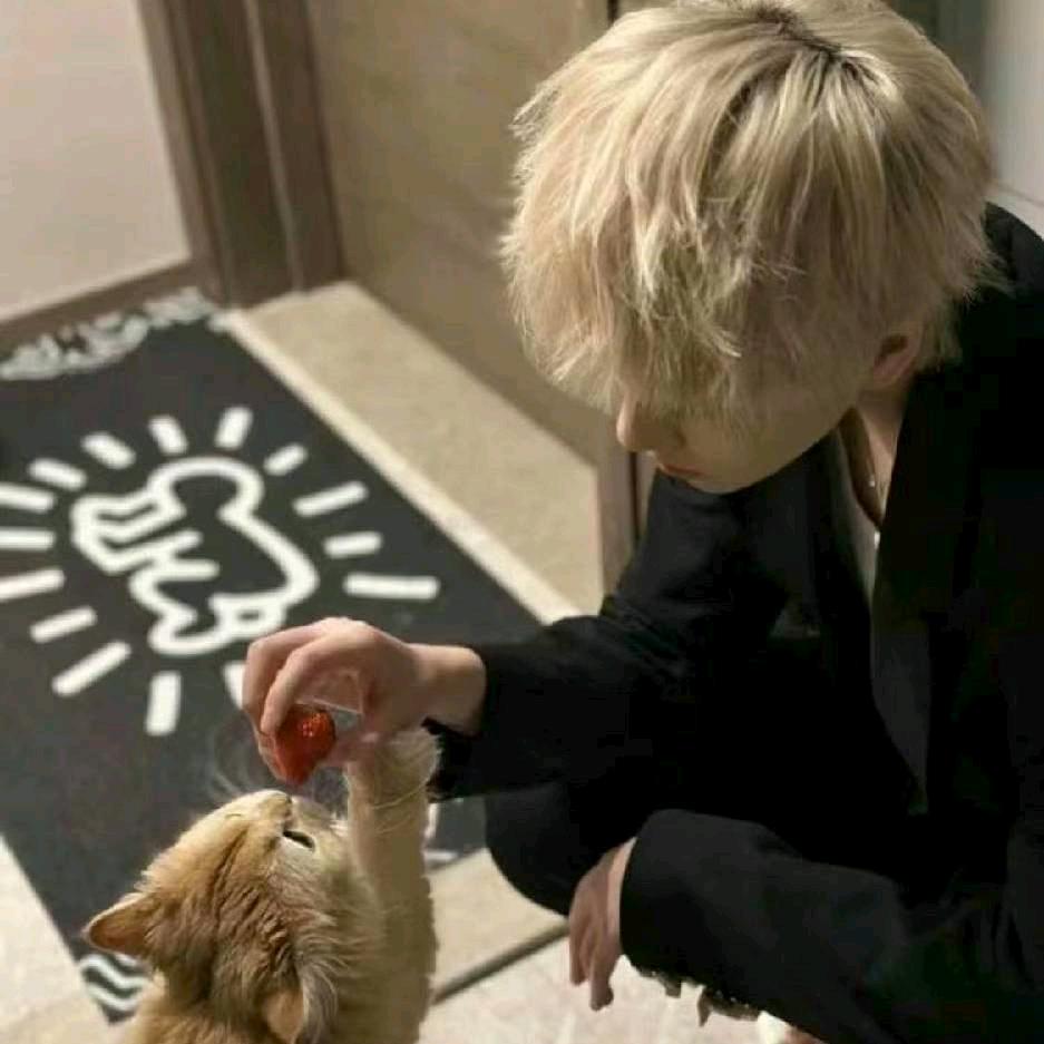 淋雨6（努力版）