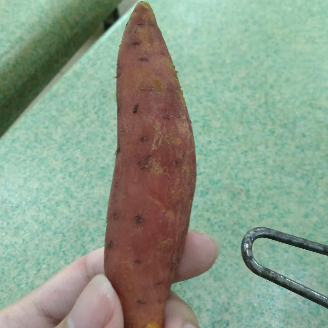 一条番薯🍠