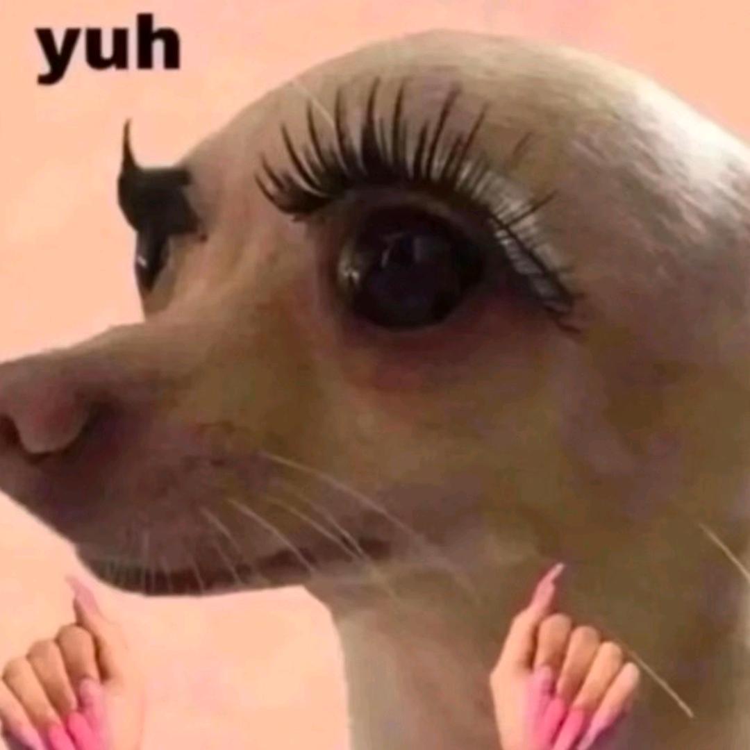 等等等等