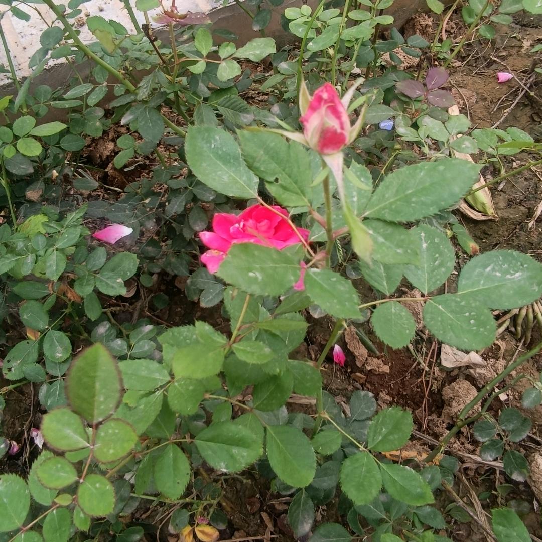 幸福和睦一家亲