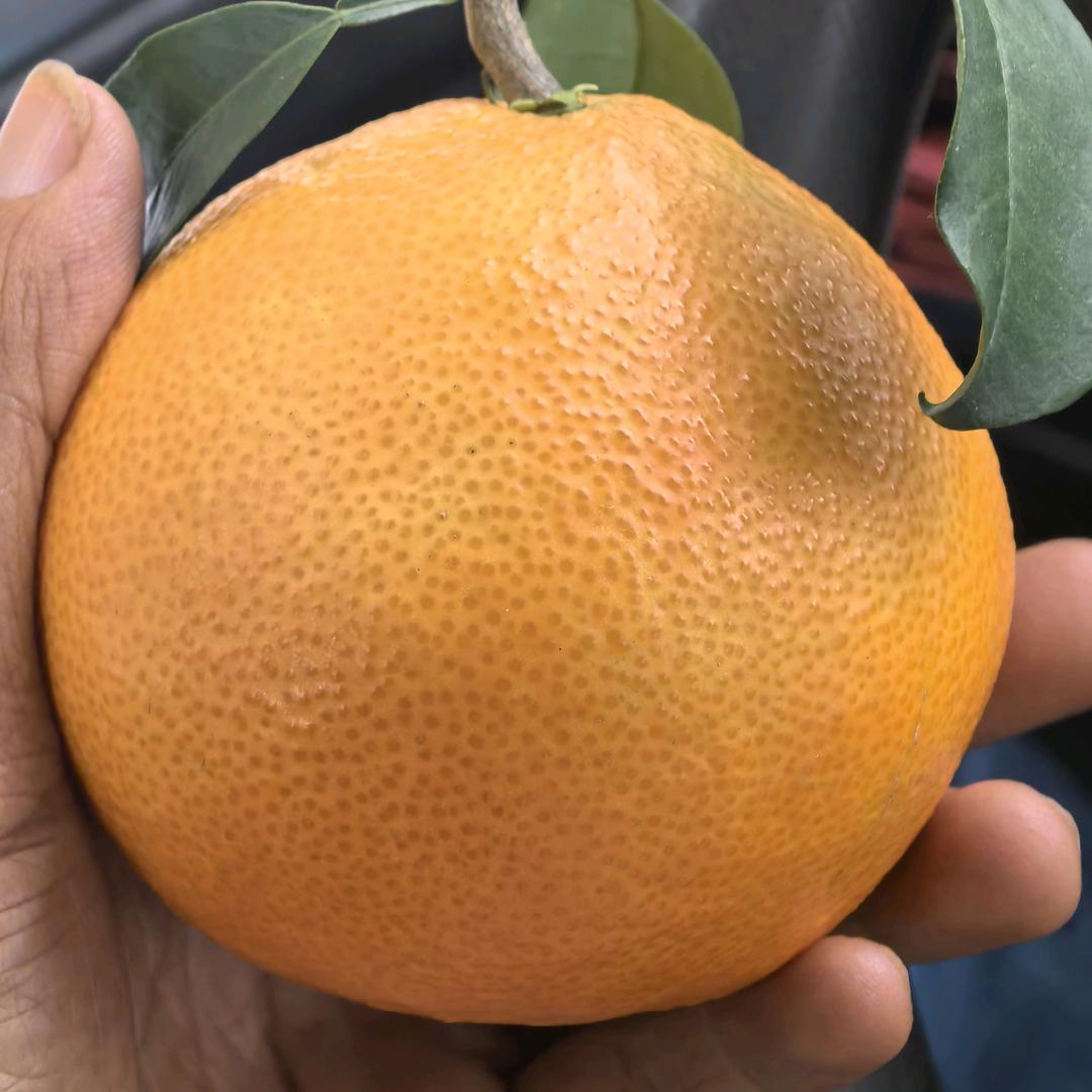 🌈ღ᭄ꦿ꯭2025დ᭄杰哥哥℘⸙