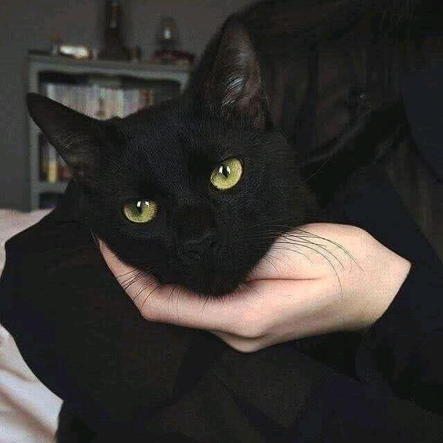 小杰♂