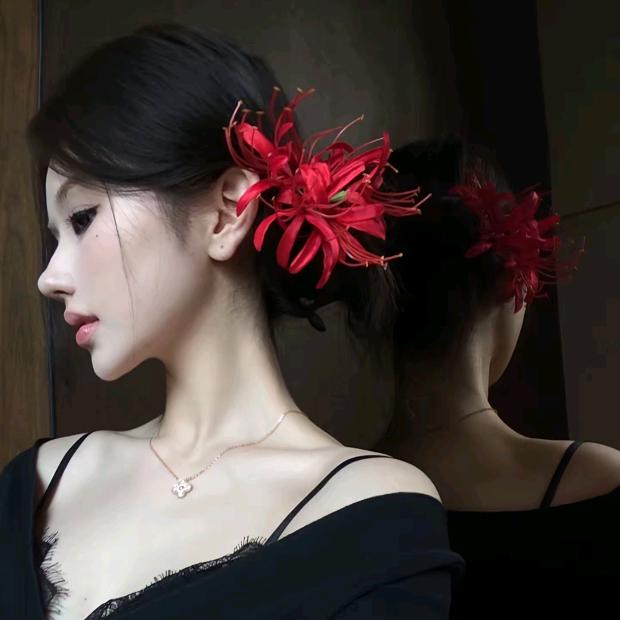 貓