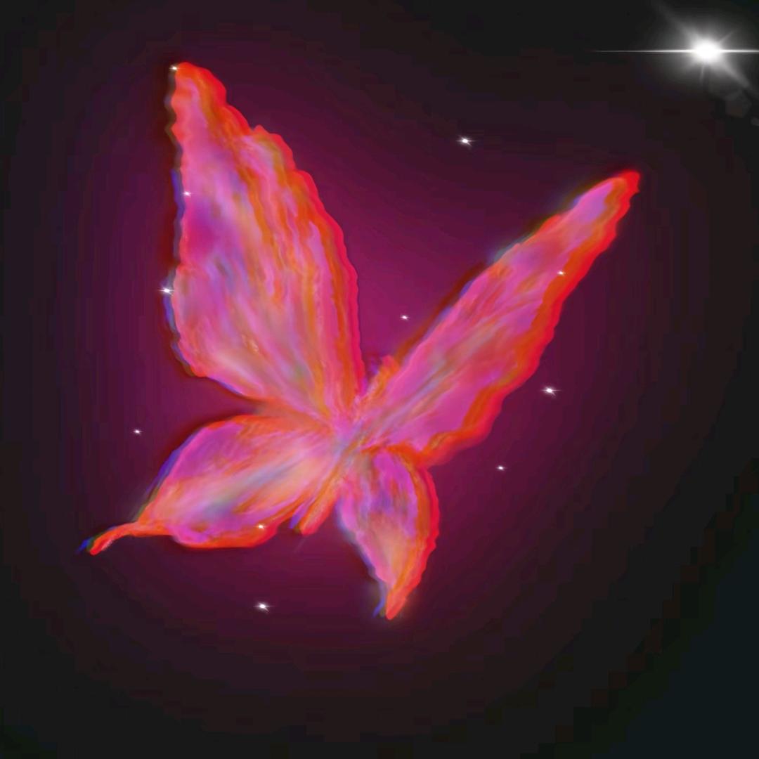 花花世界