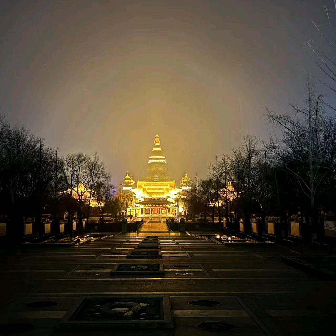赵金子
