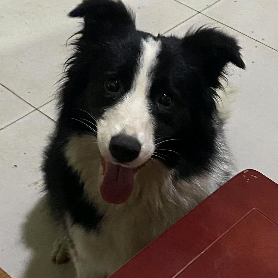 我是我