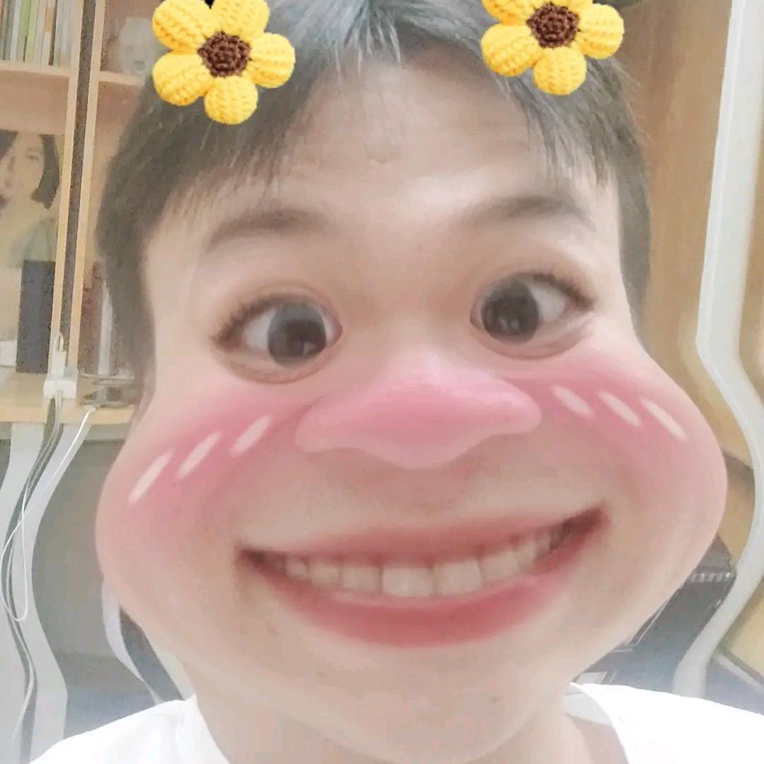 欧洲宇