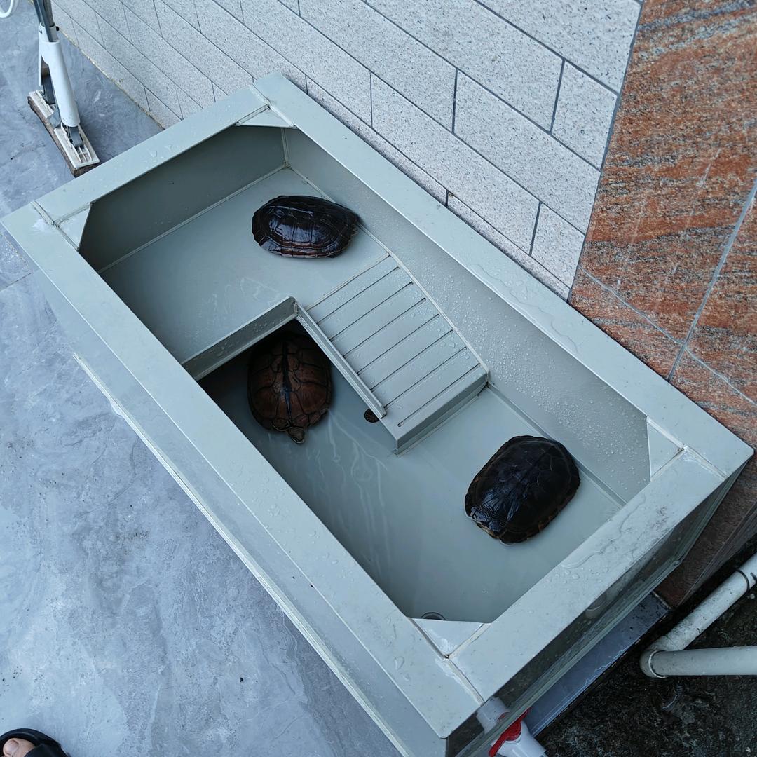 乌龟箱鱼缸过滤箱定制