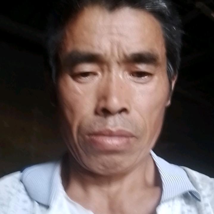 走过知路刘