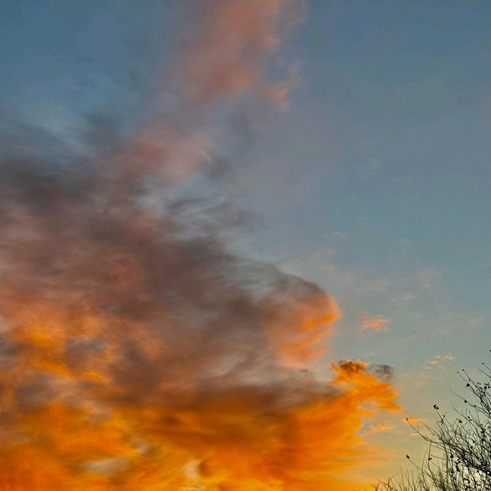 ︉ㅤ︋︉  ︋︍ㅤ︋︍ㅤ