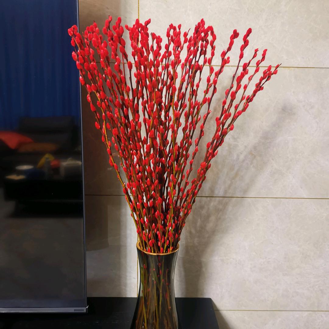 越菊:
