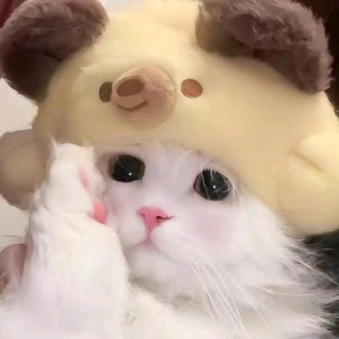 ★舞★