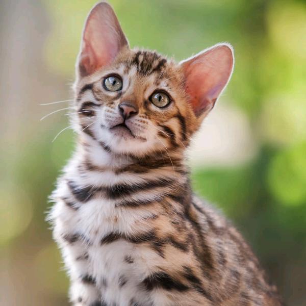 ල᭄往事💞♥清零ꦿ᭄