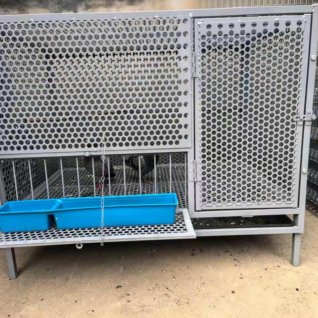 鸡鸭鹅兔养殖笼生产厂家