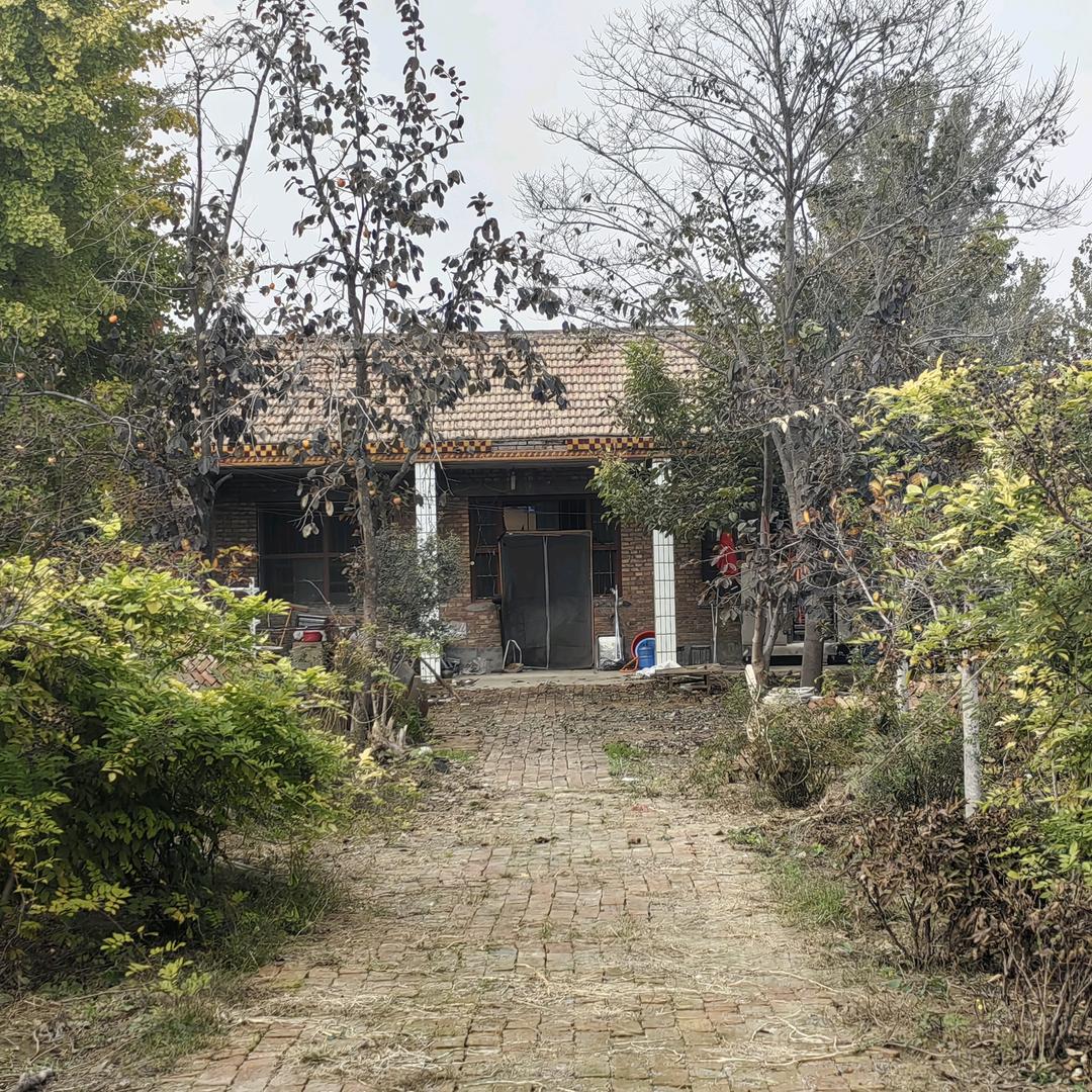 农村小院（涨粉中）